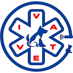 IVAVET