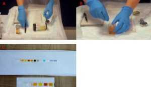 Slika 5. A. Očitavanje rezultata hemijske analize B. Utapanje trake za urin u uzorak C. Urino test traka za hemijske analize